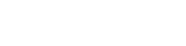 Nexoid Labs Logo
